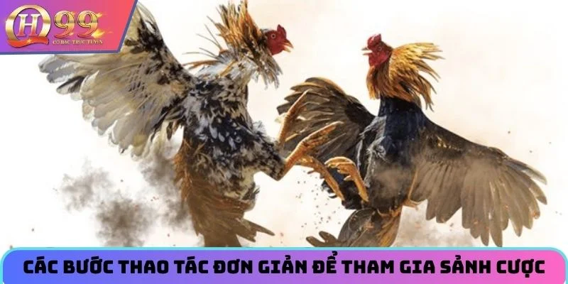 Các bước thao tác đơn giản để tham gia sảnh cược