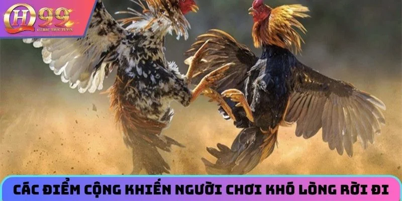 Các điểm cộng khiến người chơi khó lòng rời đi