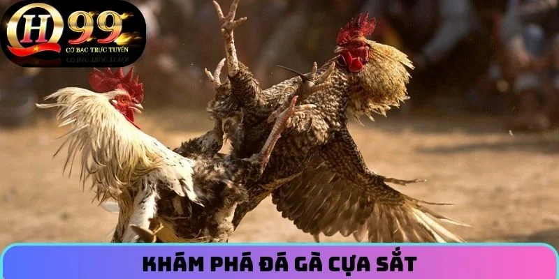 Khám phá Đá Gà Cựa Sắt