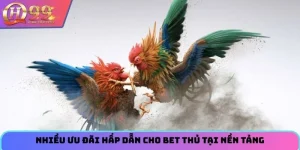 Nhiều ưu đãi hấp dẫn cho bet thủ tại nền tảng