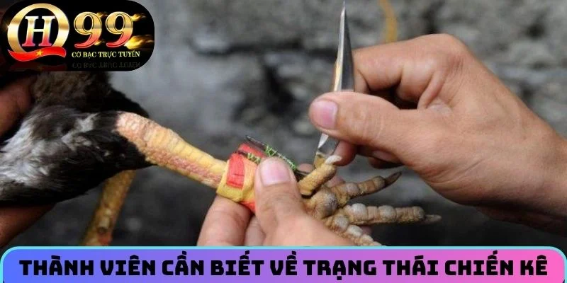 Thành viên cần biết về trạng thái chiến kê