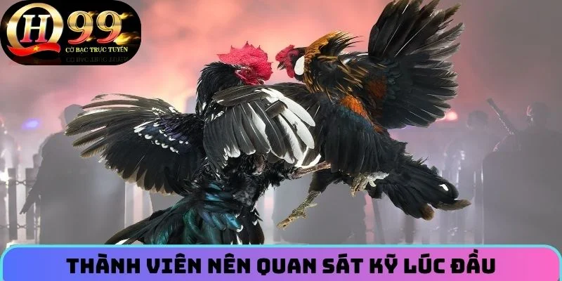 Thành viên nên quan sát kỹ lúc đầu