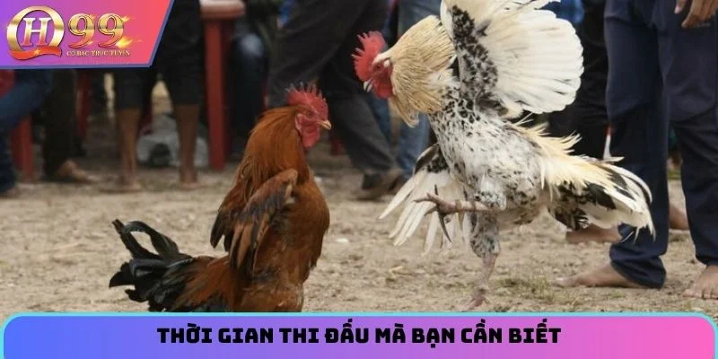 Thời gian thi đấu mà bạn cần biết